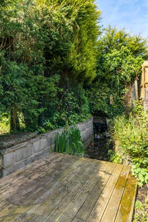 Garden- click for photo gallery